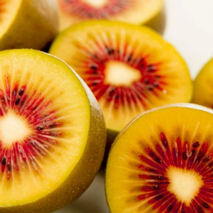 Red Kiwi Grafted Live Plant – Rare Exotic Fruit Plant