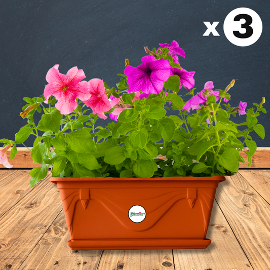 UV Treated Rectangular Plastic Planter - Terracotta Colour