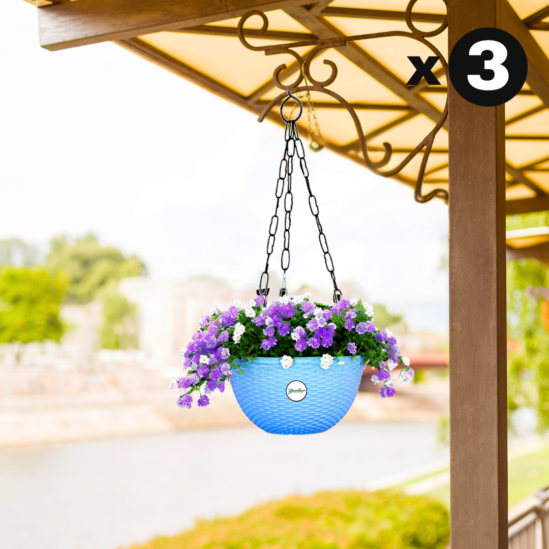 Ultra Model Virgin Plastic Hanging Pot - Blue Colour