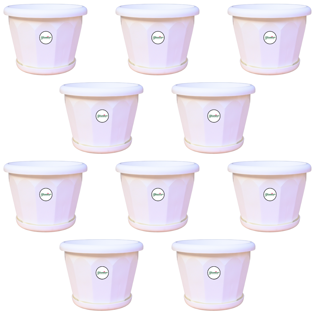 10 Inch Lotus Planter - White Colour