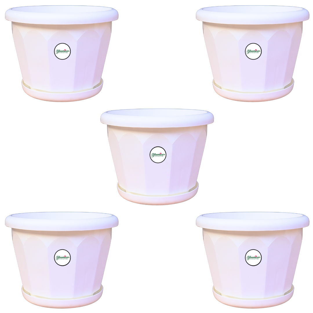 5 Inch Lotus Planter - White Colour