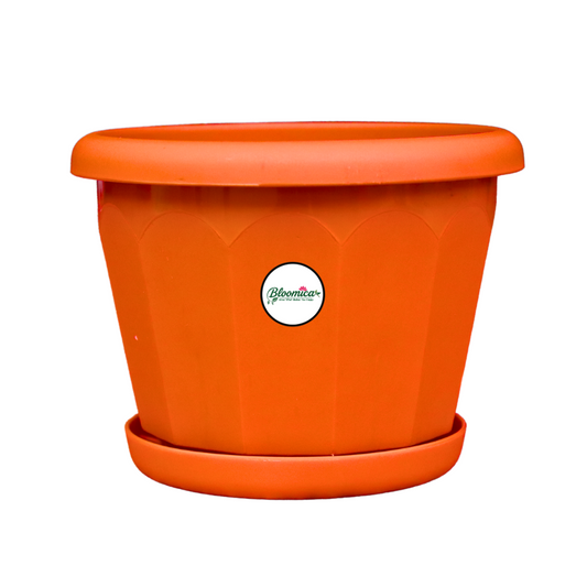 10 Inch Lotus Planter - Terracotta Colour